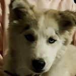Diane Dodge - @diane.dodge.58 - Instagram