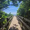 Diane Dolan - @diane.dolan6 - TikTok