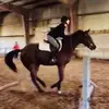 Diane Dolan - @user3163804767887 - TikTok