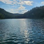 Diane Donner - @mothadonner - Instagram