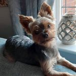 Diane Dooley - @dooley494 - Instagram