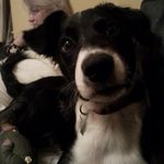 Diane Doran - @didor1 - Instagram