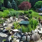 Diane Dow - Facebook