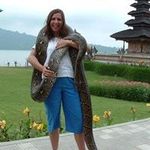 Diane Dowle - @dianedowle - Instagram