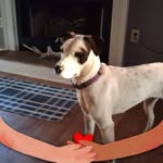 Diane Downs - @dianedowns414 - Instagram