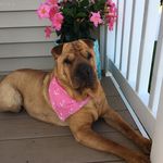 Diane Drexler - @diane.drexler.12 - Instagram