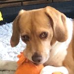 Diane Dunham Drexler - @4tun8tnmom - Instagram