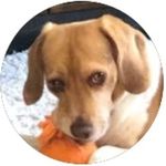 Diane Dunham Drexler - @diane_dunham_drexler - Instagram