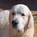 Diane Driver - Facebook