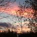 Diane Drolet - Facebook