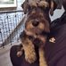 Diane Drolet - Facebook