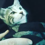 diane 34725 - @dianeducamp - Instagram