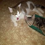 Diane Dutton - Facebook