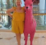 Diane Dutton - Facebook