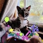 Diane Dutton - @dianedutton666 - Instagram