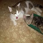 Diane Dutton - @dutton6630 - Instagram