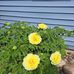 Diane Earl - Facebook