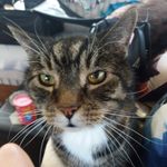 Diane Egan - @mdegan123 - Instagram