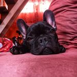 Diane Egan - @yyandiie - Instagram