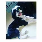 Diane Egan - @blurredylife - Instagram