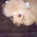 Diane Egan - Facebook