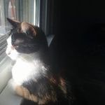 Diane Eldridge - @dianewatts1362 - Instagram