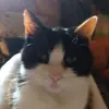 dianeeldridge567 - @dianeeldridge567 - TikTok