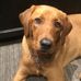 Diane Eller - Facebook
