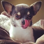 Diane Engelen - @diane_engelen1962 - Instagram