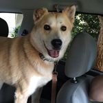 Diane English - @dianeenglish1 - Instagram