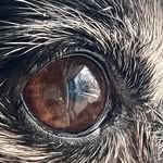 Diane Ensley - @dianeensley - Instagram