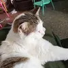 Diane Erwin - @diane.erwin3 - TikTok