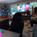 Diane Erwin - @erwindiane506 - Instagram