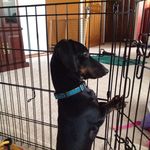 Diane Erwin - @diane.erwin.52 - Instagram