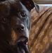 Dianne Erwin - Facebook