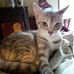 Diane Estep - Facebook