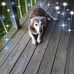 Diane Eubanks - Facebook