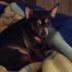 Diane Faust - Facebook