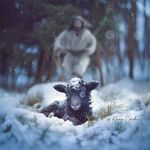 Diane Faust Dadowski - @dadowski - Instagram