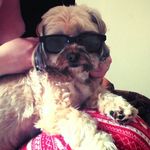 Diane Featherstone - @featherstonediane - Instagram