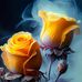 Diane Ferrell - Facebook