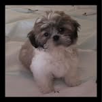 Diane Flaherty - @dianecflaherty - Instagram