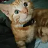 Dianne Flaherty - @dianne.flaherty - TikTok