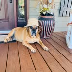 Diane Floyd - Facebook
