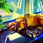 Diane Floyd - @dbfloyd - Instagram
