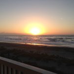 Diane Fore - @petie_63 - Instagram