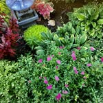 Diane Foreman - @weybridgecompound_ - Instagram