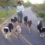 Diane Forsyth - @dianeforsyth - Instagram