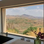 Diane Forsyth - @dianeforsyth23p67 - Instagram