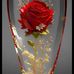 Dianela Fortes - Facebook
